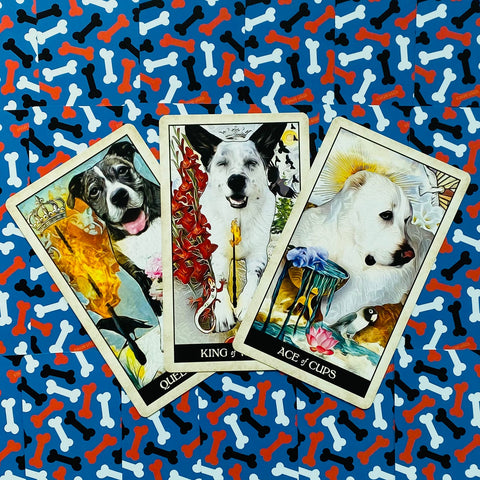 Wise Dog Tarot cards US Games Systems