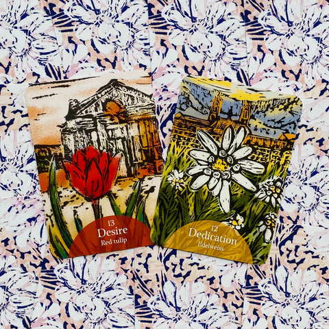 The Language of Flowers Oracle Cards Rockpool