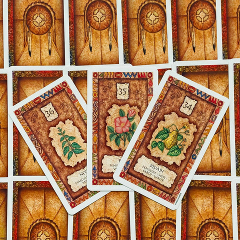 Shaman Wisdom Cards US Games Systems