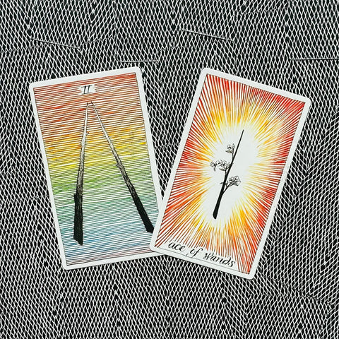 The Wild Unknown Tarot Cards Harper One