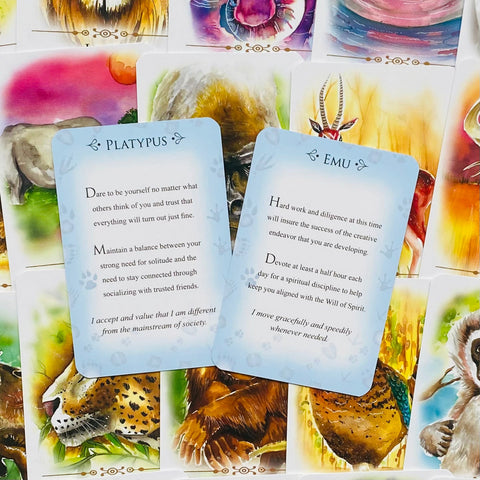 Spirit Animals Message Cards Animal Dreaming