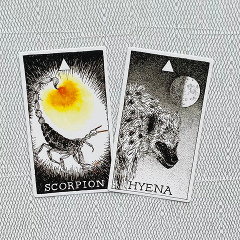 The Wild Unknown Animal Spirit Oracle Cards And Book Set Harper One