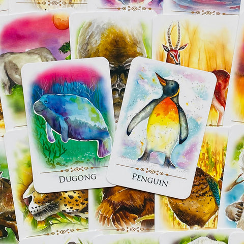 Spirit Animals Message Cards Animal Dreaming