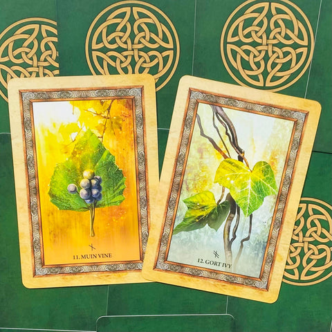 Celtic Tree Oracle cards Blue Angel