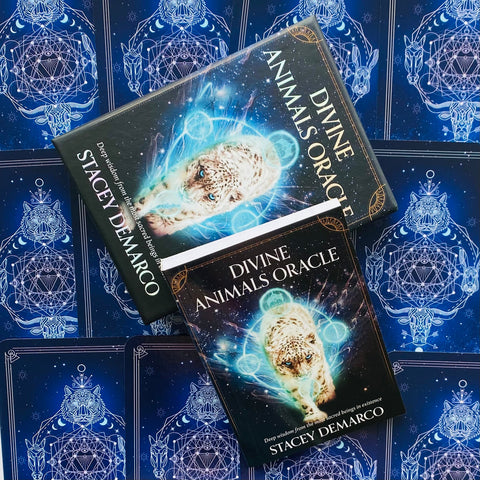 Divine Animals Oracle cards Rockpool