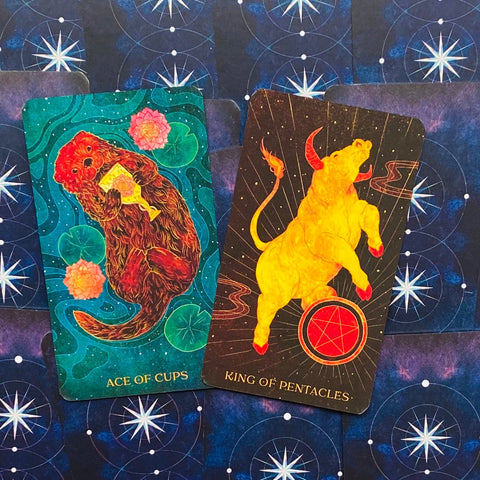 Oriens Animal tarot cards Rockpool