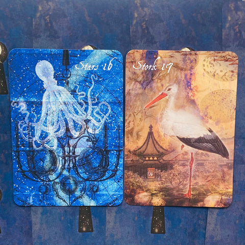 The Lunar Nomad Oracle Cards And Book Set Weiser Books