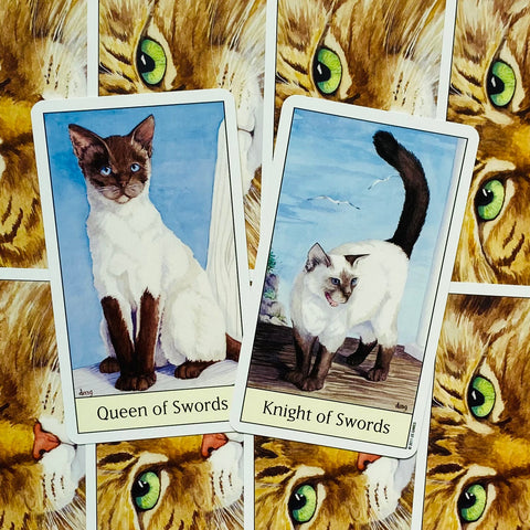 Cats Eye Tarot cards US Games Systems