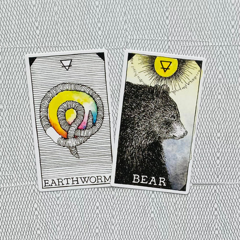 The Wild Unknown Animal Spirit Oracle Cards And Book Set Harper One