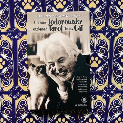 The Way Jodorowsky Explained Tarot To His Cat Cards Lo Scarabeo