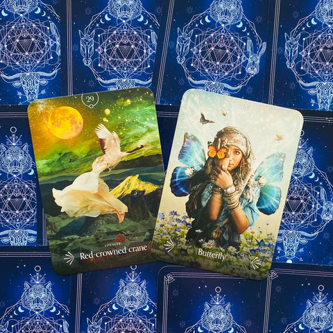 Divine Animals Oracle cards Rockpool