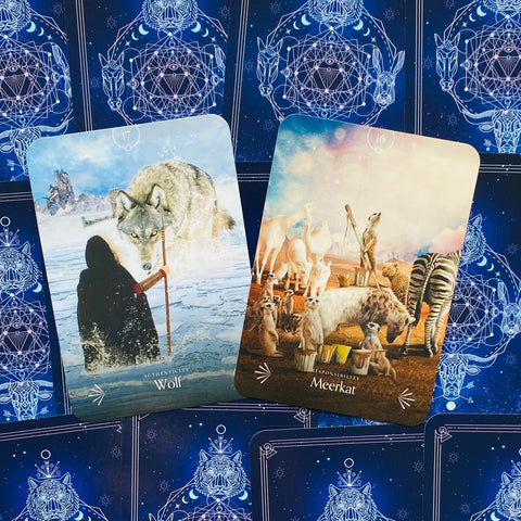 Divine Animals Oracle cards Rockpool