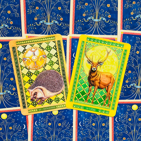 Beasts of Albion Oracle cards Animal Dreaming