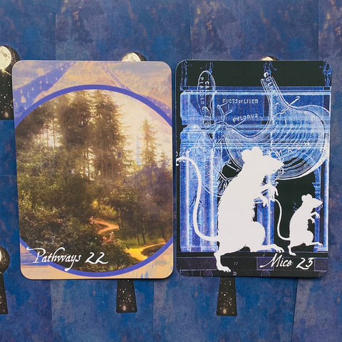 The Lunar Nomad Oracle Cards And Book Set Weiser Books