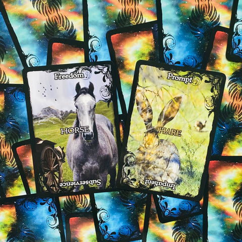 Animal Guidance And Aspects Oracle Cards Solarus