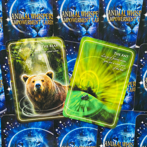 Animal Whispers Empowerment Cards Findhorn Press