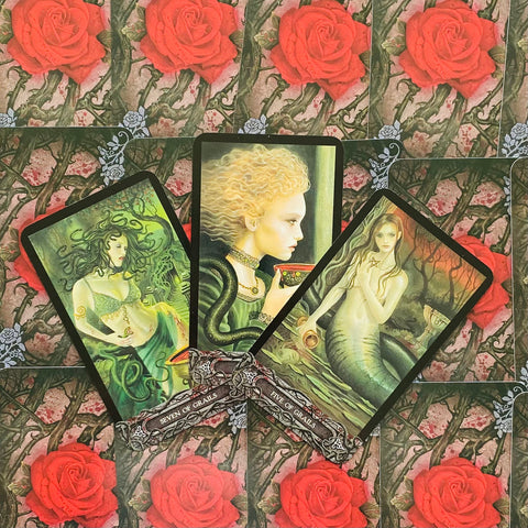 The Tarot Of Vampyres Cards Llewellyn