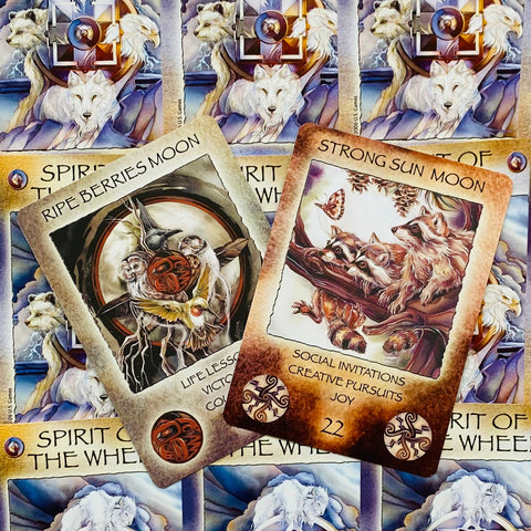 Spirit Of The Wheel Meditation cards US Games Systems