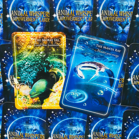 Animal Whispers Empowerment Cards Findhorn Press