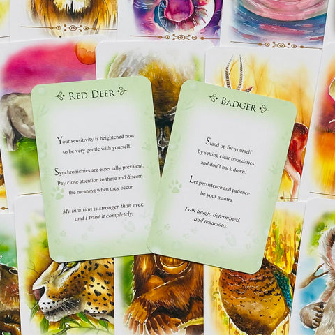 Spirit Animals Message Cards Animal Dreaming