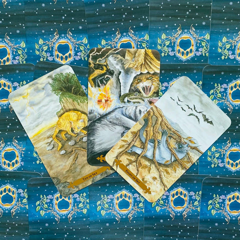 Magical Cats Tarot cards Llewellyn