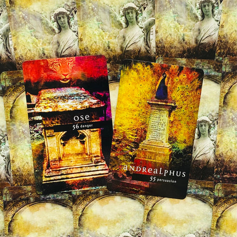 Fallen Angel Oracle Cards And Book Set Cico Books