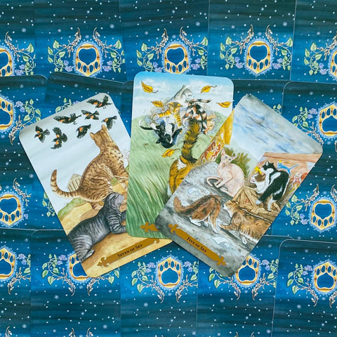 Magical Cats Tarot cards Llewellyn