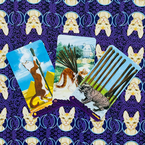 Tarot Of Pagan Cats cards Lo Scarabeo
