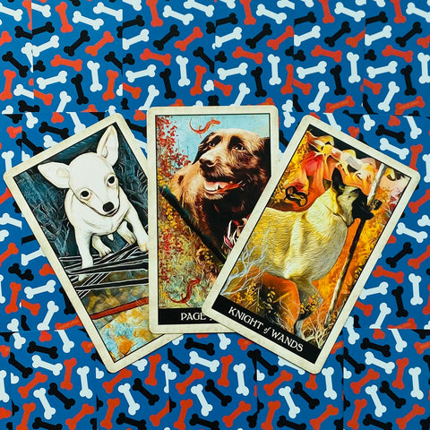 Wise Dog Tarot cards US Games Systems