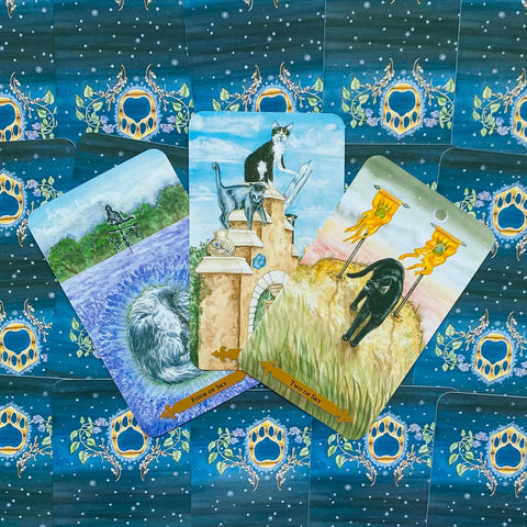 Magical Cats Tarot cards Llewellyn