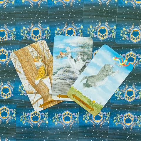 Magical Cats Tarot cards Llewellyn