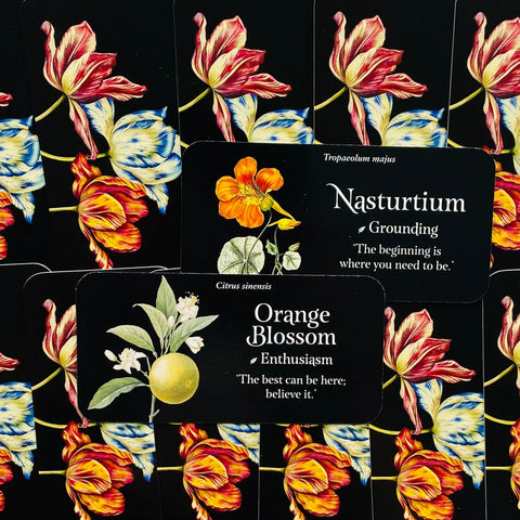 The Language of Flowers Inspiration cards Rockpool
