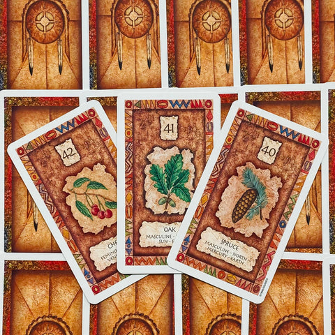 Shaman Wisdom Cards US Games Systems