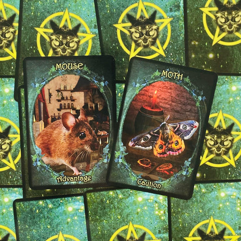 Witches Familiars Oracle Cards Solarus