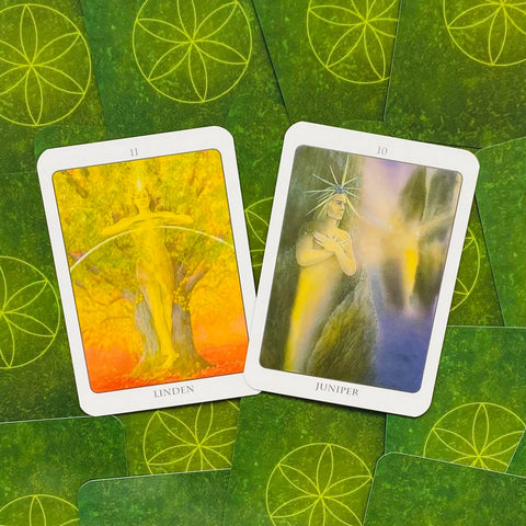 The Tree Angel Oracle Cards And Book Set Earth Dancer