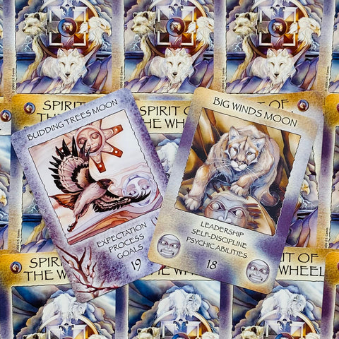 Spirit Of The Wheel Meditation cards US Games Systems