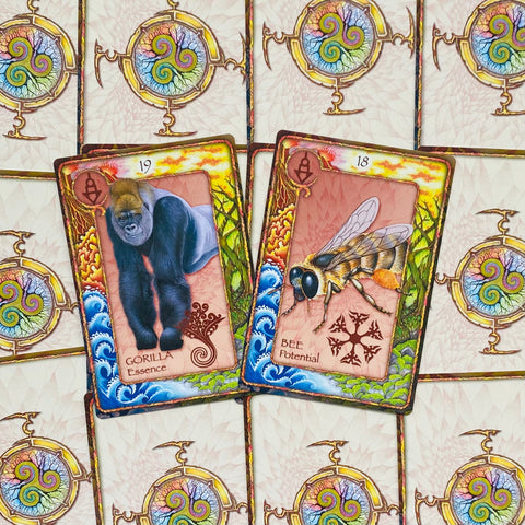 World Animal Dreaming Oracle cards
