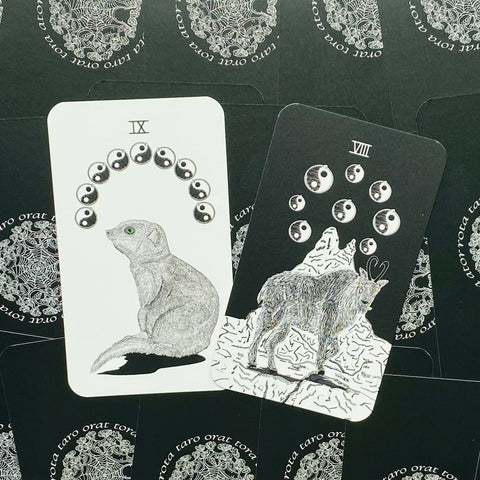 The Sacred Web Tarot Cards Harper One
