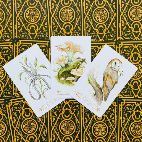 A Compendium Of Witches Oracle Cards Lo Scarabeo