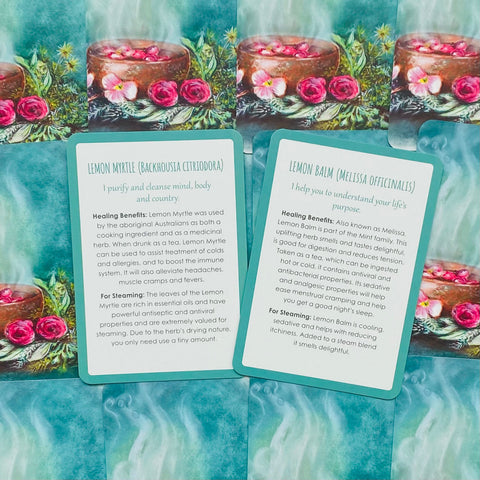 Womb Medicine Healing Cards Animal Dreaming
