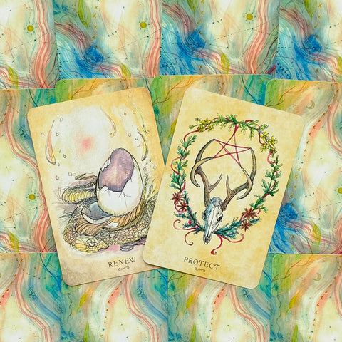 Anatomy Of A Witch Oracle Cards Llewellyn
