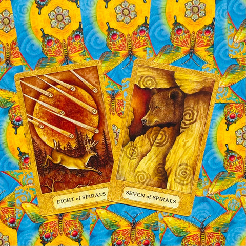 Chrysalis tarot cards and book set US Games Systems