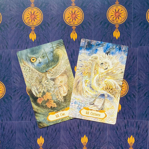 The Winged Enchantment Oracle cards US Games Systems