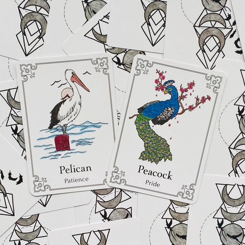 Sacred Bird Oracle Cards Animal Dreaming