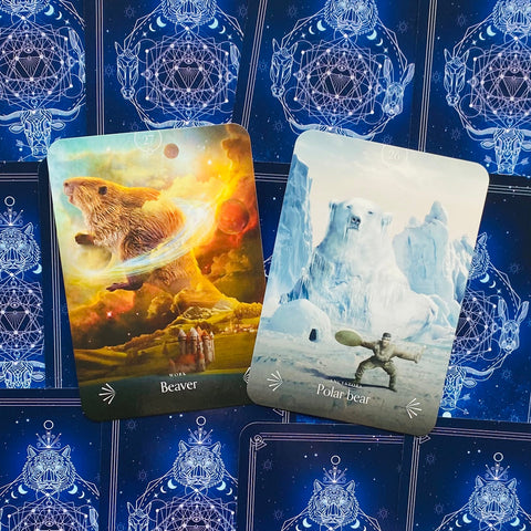 Divine Animals Oracle cards Rockpool