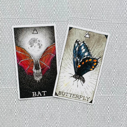 The Wild Unknown Animal Spirit Oracle Cards And Book Set Harper One