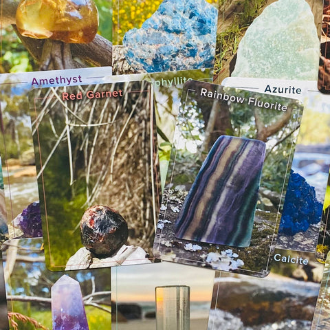 Crystal Connections Message Cards Animal Dreaming
