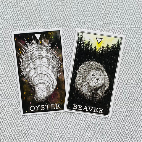 The Wild Unknown Animal Spirit Oracle Cards And Book Set Harper One