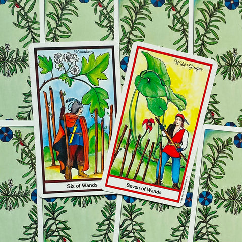 The Herbal Tarot cards US Games Systems
