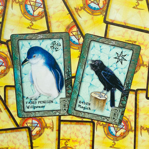 Animal Dreaming Oracle cards Blue Angel